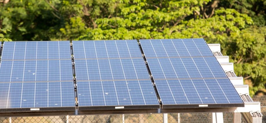 5º Leilão do Eco Invest Brasil: Quase R$ 50 Bilhões para Investimentos Verdes