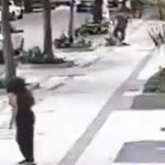 Professora Aposentada da UFRJ É Baleada em Assalto no Leblon