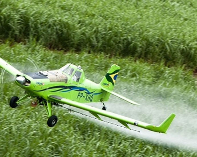 Brasil se Destaca como o Segundo Maior Importador de Pesticidas Proibidos na União Europeia