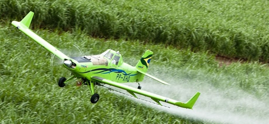 Brasil se Destaca como o Segundo Maior Importador de Pesticidas Proibidos na União Europeia
