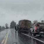 Polícia Militar Rural Recupera Gado Furtado e Realiza Prisões em Aquidauana