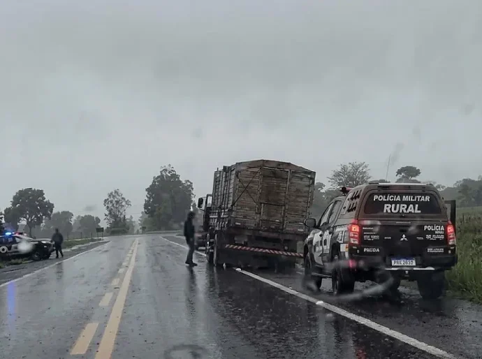 Polícia Militar Rural Recupera Gado Furtado e Realiza Prisões em Aquidauana