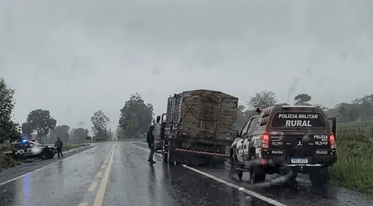 Polícia Militar Rural Recupera Gado Furtado e Realiza Prisões em Aquidauana