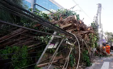 Rio de Janeiro (RJ), 30/07/2026 - Estragos provocados pelos fortes ventos que atingiram a cidade na tarde desta quarta-feira (29). Árvore caí em frente ao Hospital Pró-Cardíaco, em Botafogo, destruindo portão e fiação Foto: Tânia Rêgo/Agência Brasil
