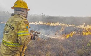 Agente do Ibama faz trabalha de contenção de queimadas e incêndio no Amazonas. Foto: Ibama/Divulgação