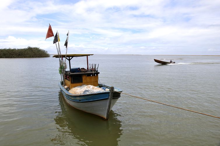Pesca na foz do Rio Doce é liberada após dez anos de suspensão