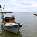 Pesca na foz do Rio Doce é liberada após dez anos de suspensão