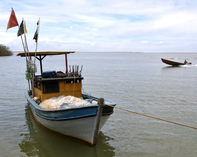 Pesca na foz do Rio Doce é liberada após dez anos de suspensão