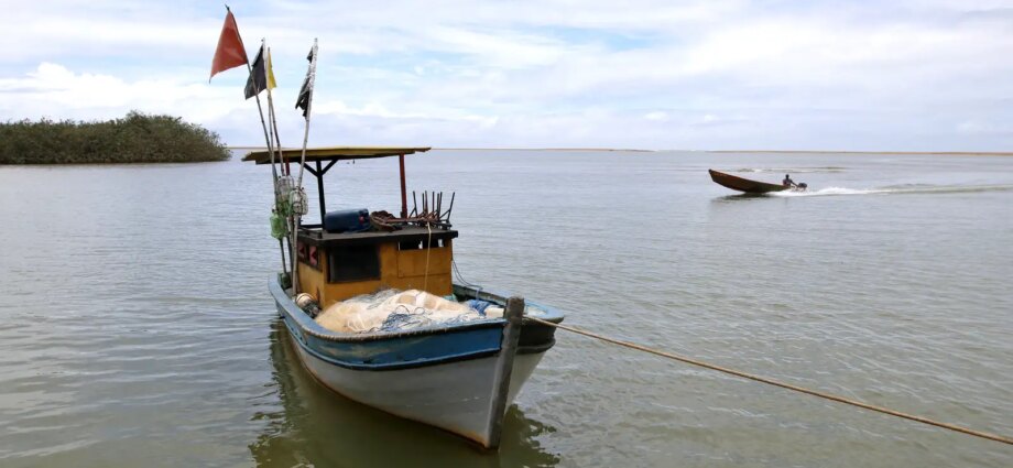 Pesca na foz do Rio Doce é liberada após dez anos de suspensão