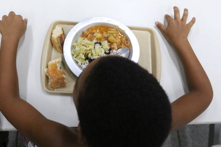 Inovação e Sustentabilidade: Ações da ONU no Brasil para Combater a Crise Alimentar