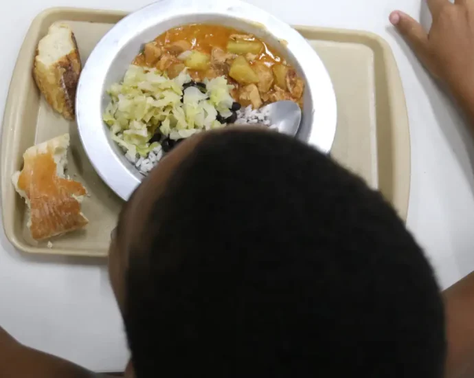 Inovação e Sustentabilidade: Ações da ONU no Brasil para Combater a Crise Alimentar