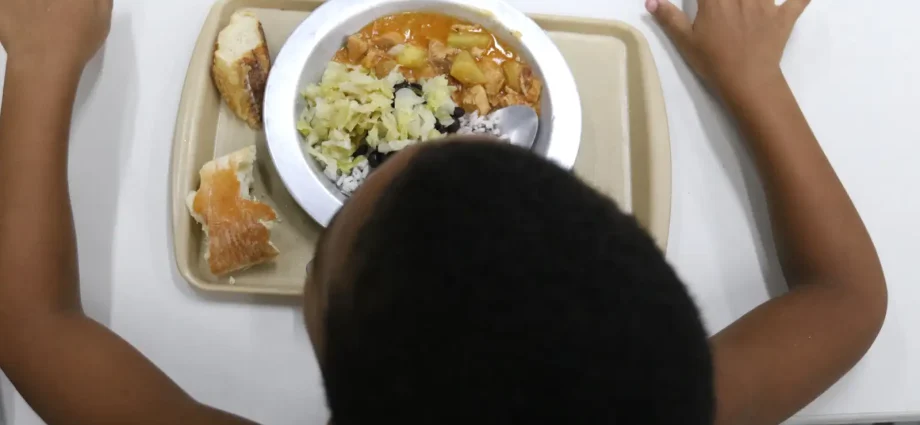 Inovação e Sustentabilidade: Ações da ONU no Brasil para Combater a Crise Alimentar