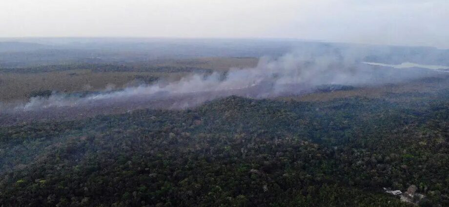 Governo reforça combate a incêndios florestais no oeste do Pará com brigadistas e aeronaves