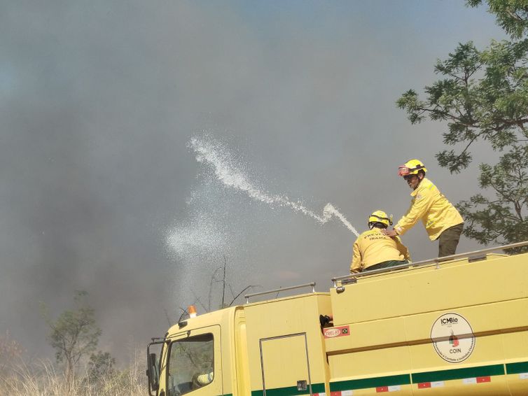 Bombeiros Controlam Incêndio em Área de Mata na Universidade de Brasília