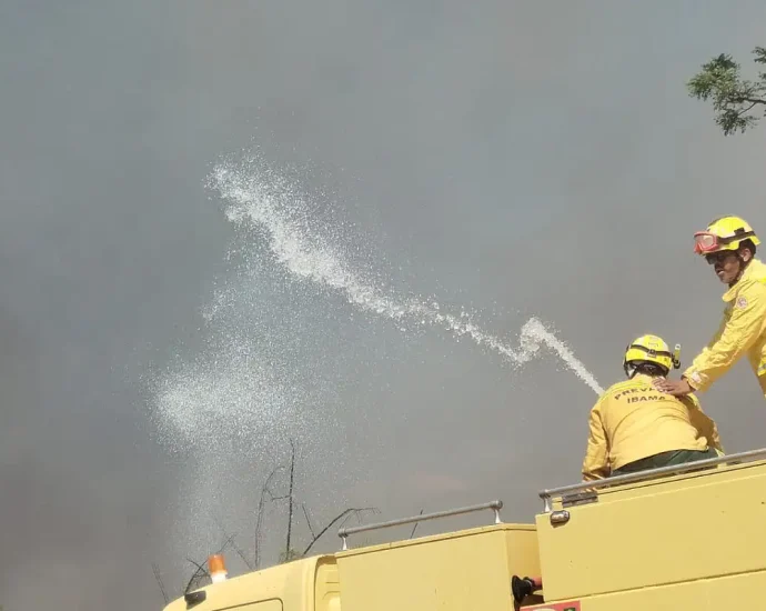 Bombeiros Controlam Incêndio em Área de Mata na Universidade de Brasília