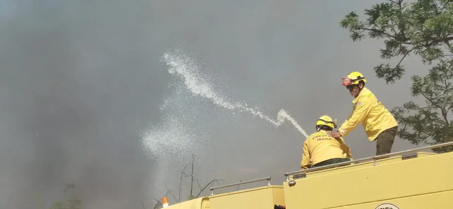 Bombeiros Controlam Incêndio em Área de Mata na Universidade de Brasília